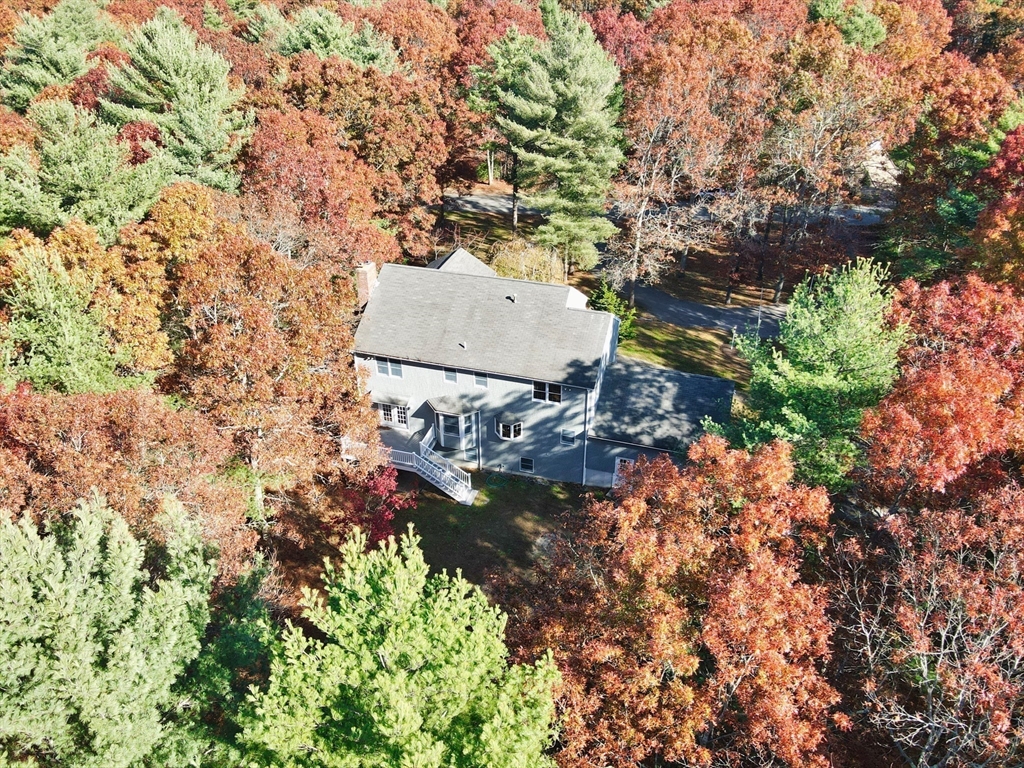 39 Panettieri Dr