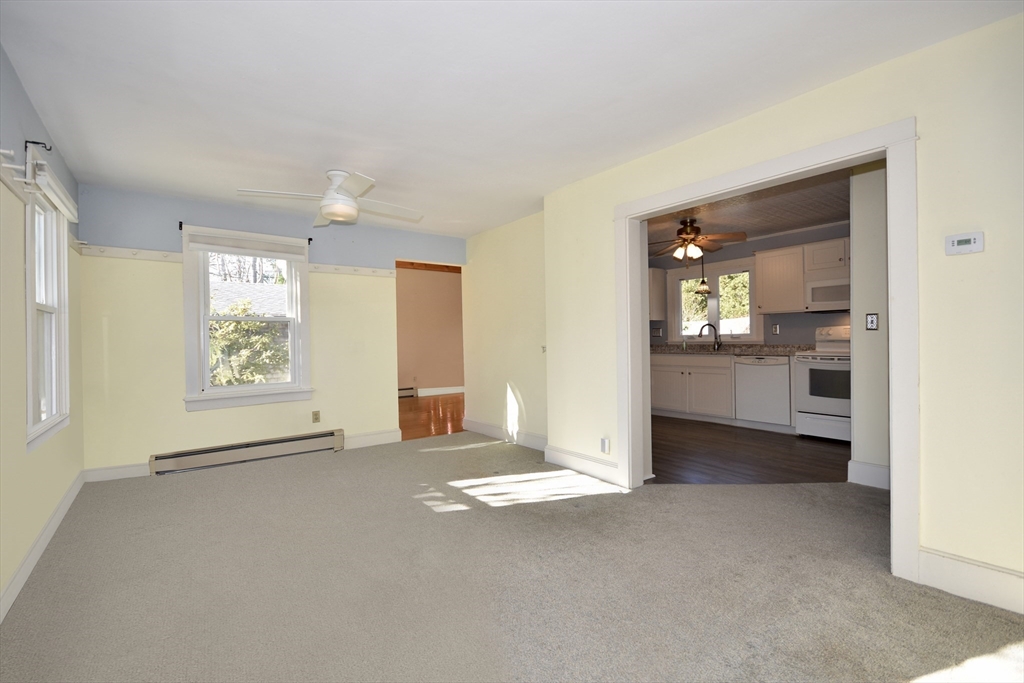 19 Bellevue St
