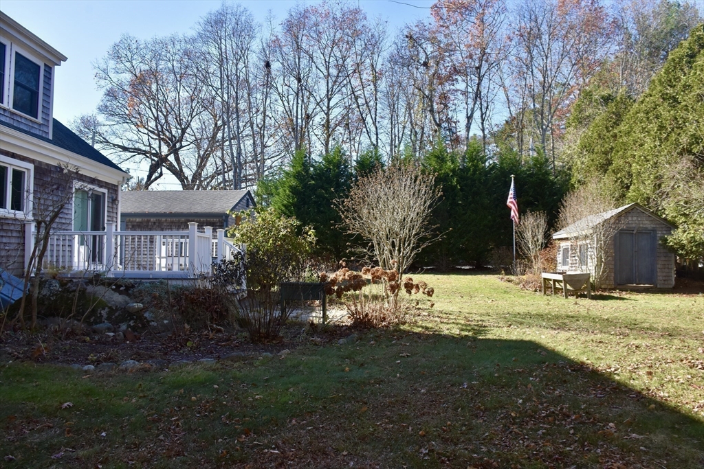 19 Bellevue St