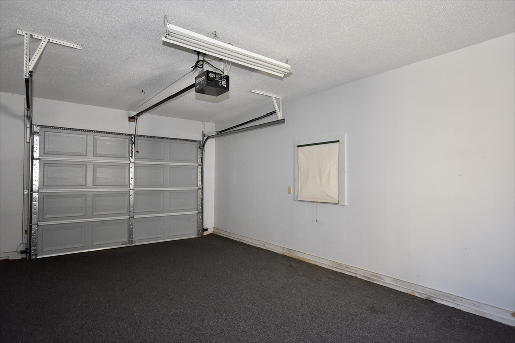 19 Bellevue St