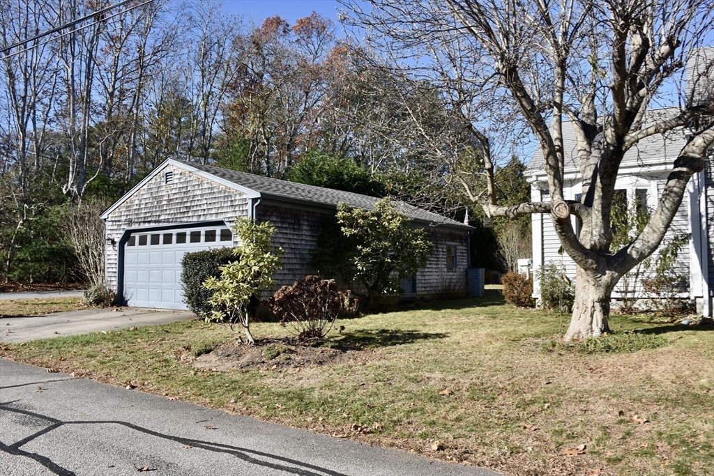 19 Bellevue St