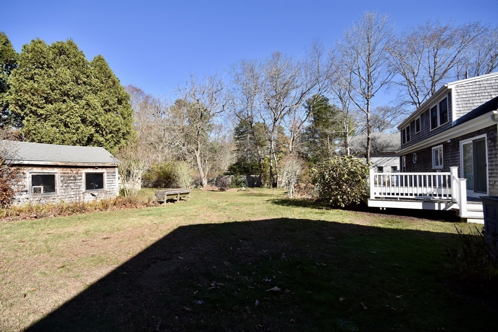 19 Bellevue St