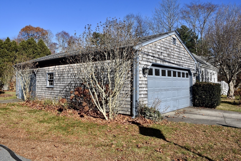 19 Bellevue St