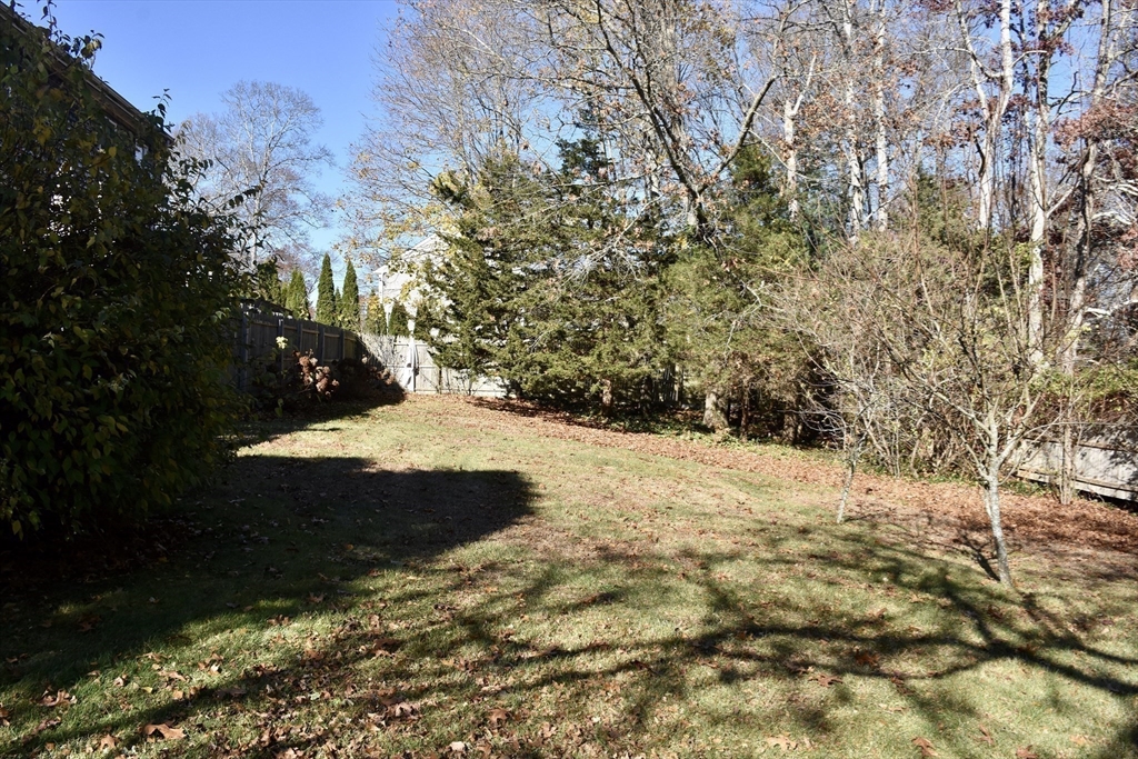 19 Bellevue St