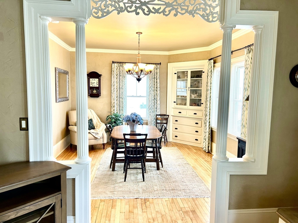 28 Priscilla St