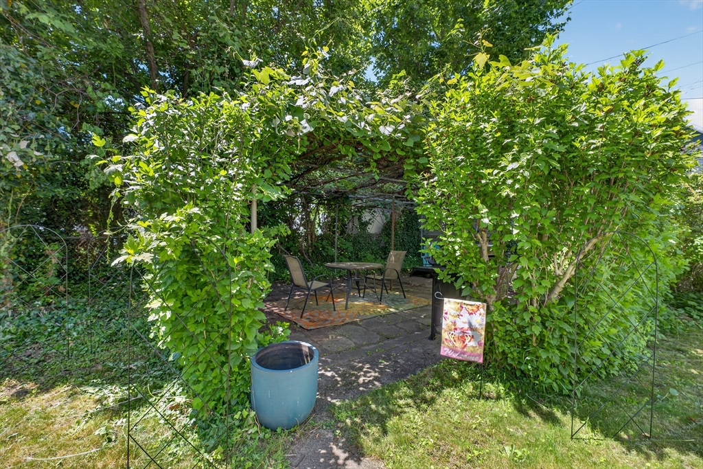 203 County St