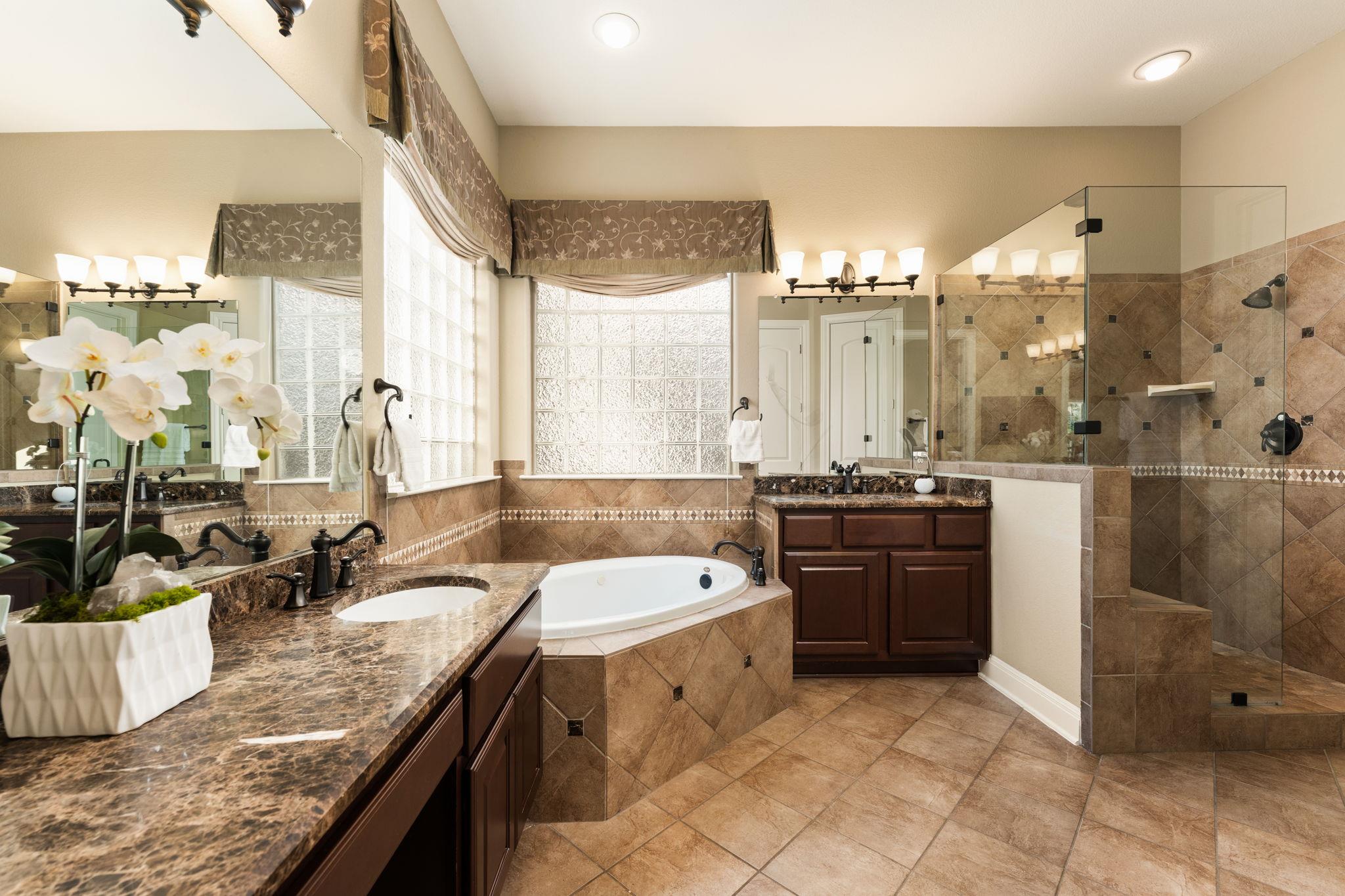 15405 Swiss Alps CT