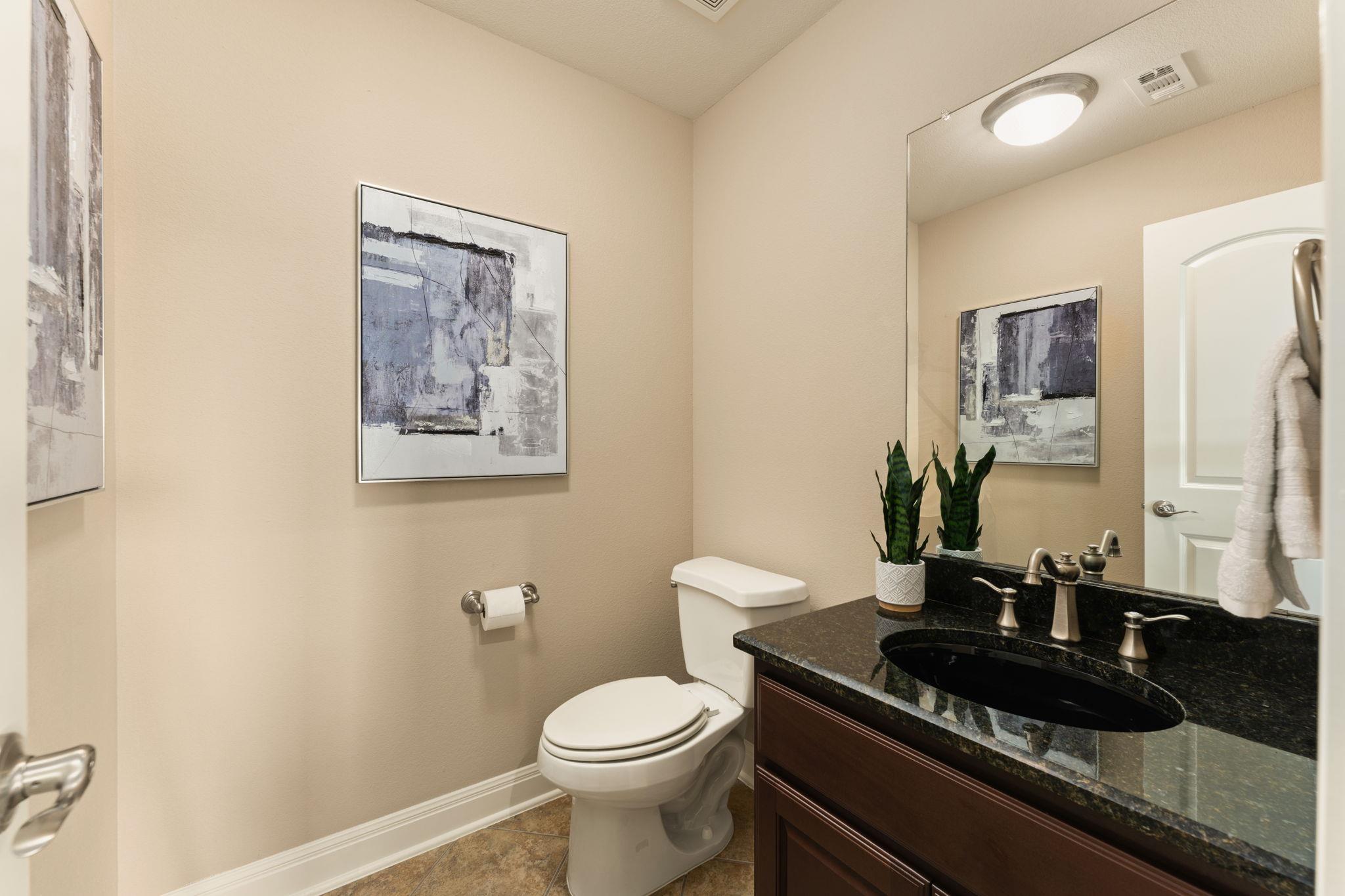 15405 Swiss Alps CT