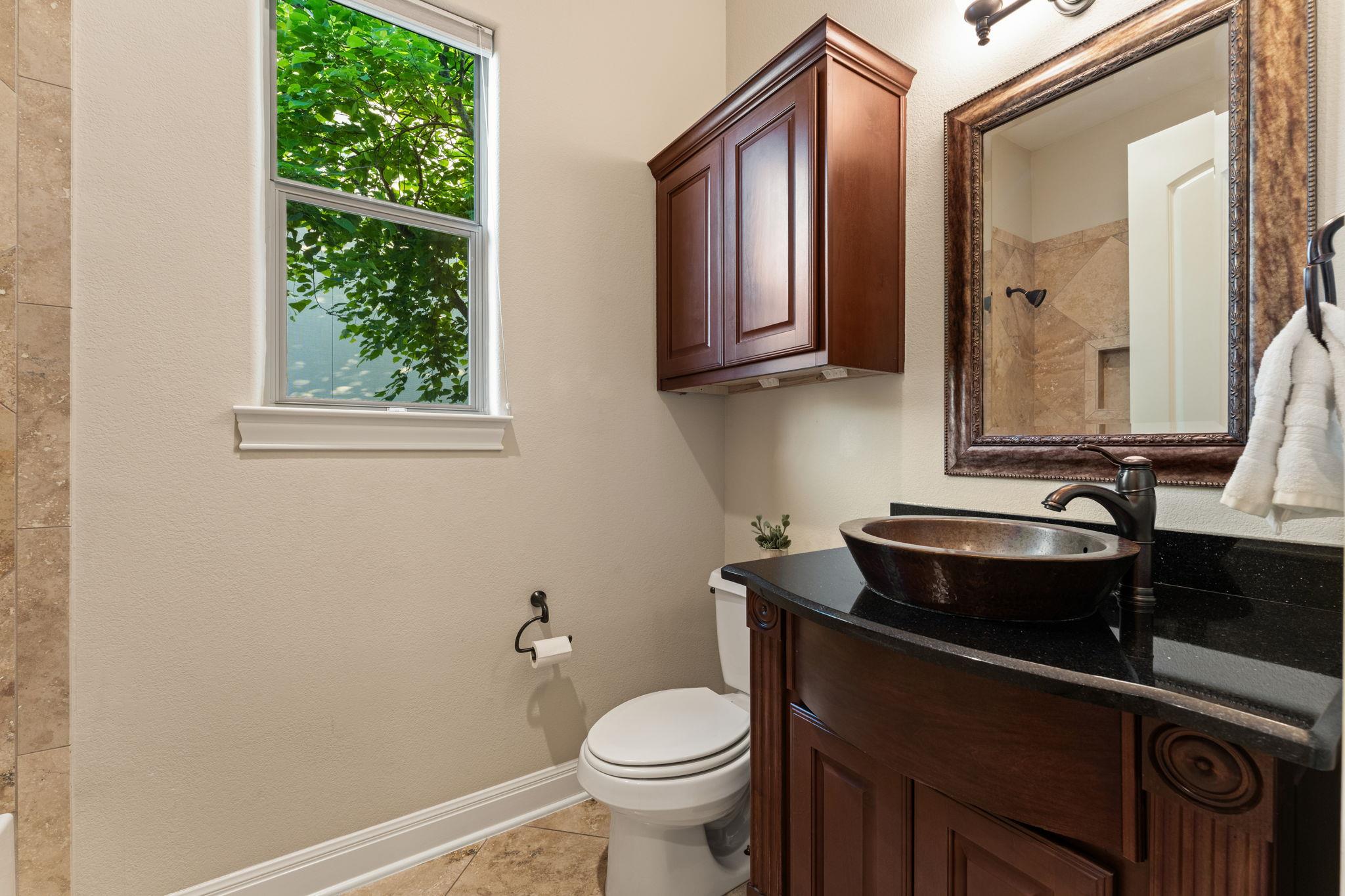 15405 Swiss Alps CT