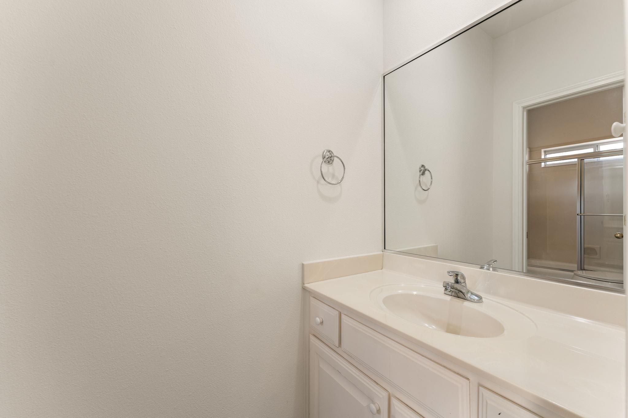 Bathroom vanity with a large mirror and a glimpse of the glass-enclosed shower.
