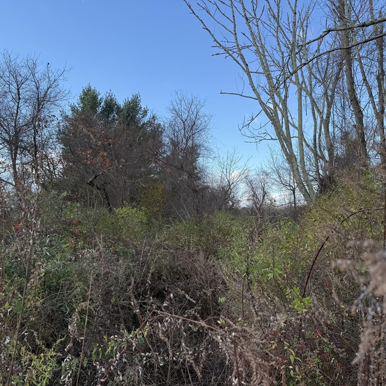 0 Pine Hill Rd.