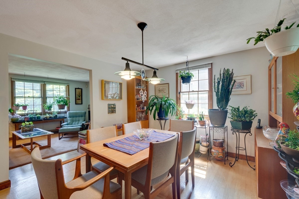 27 Maplewood Ave