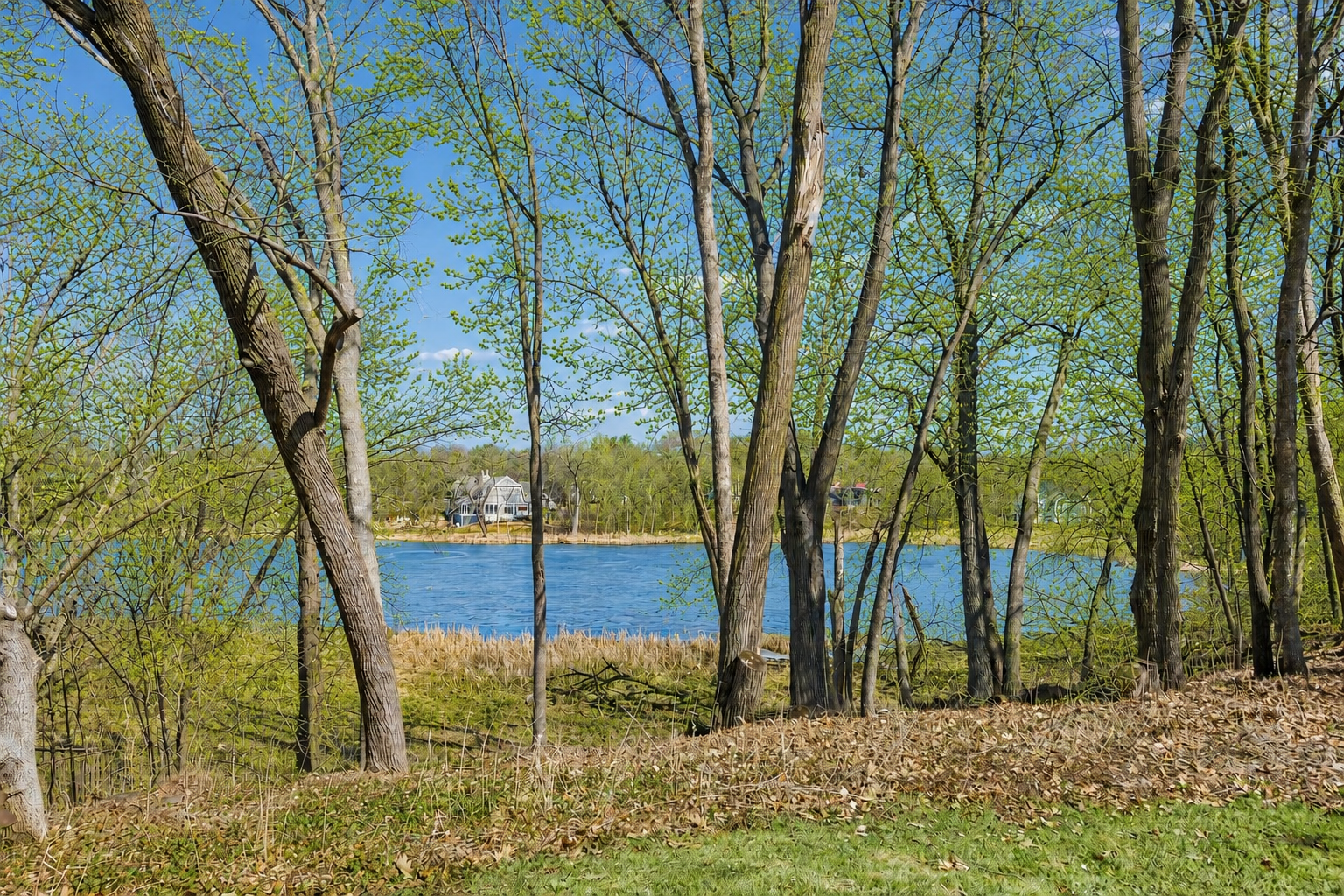 17870 Tioga Trail