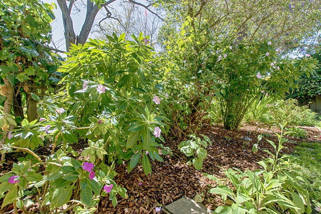 135 Hollywood Avenue