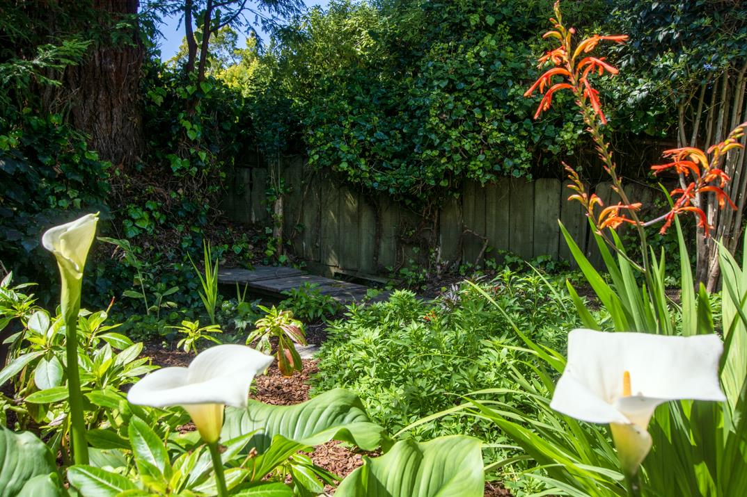 135 Hollywood Avenue