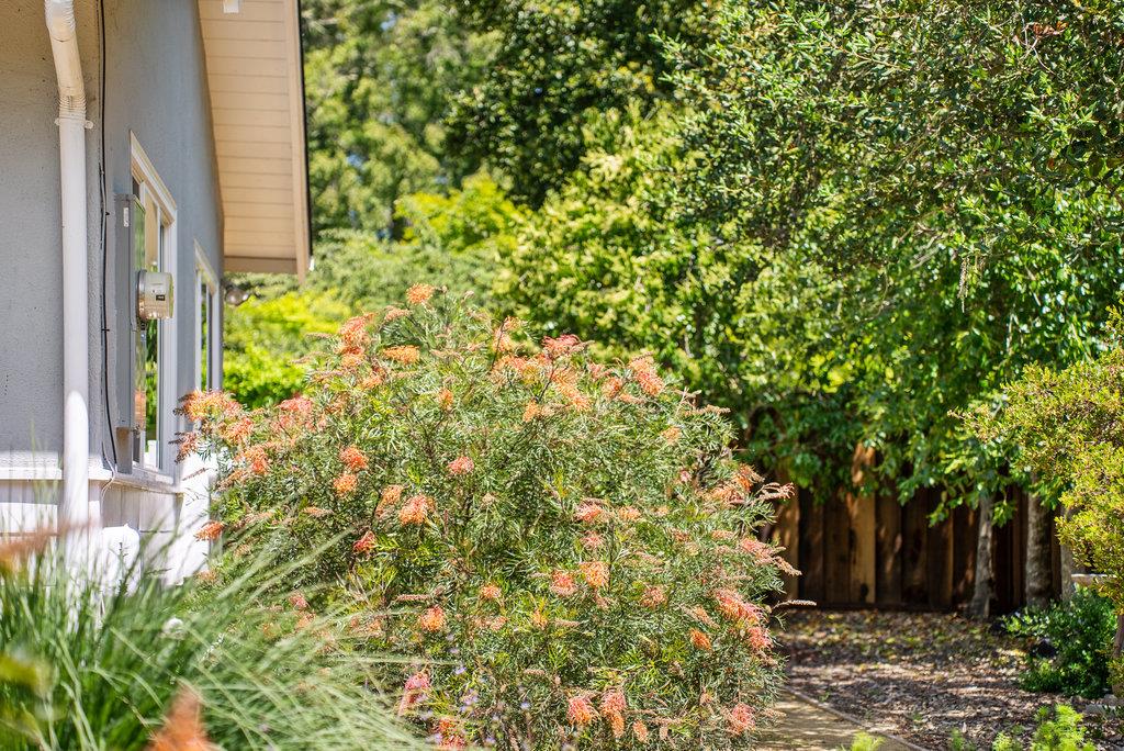 614 Graham Hill Road