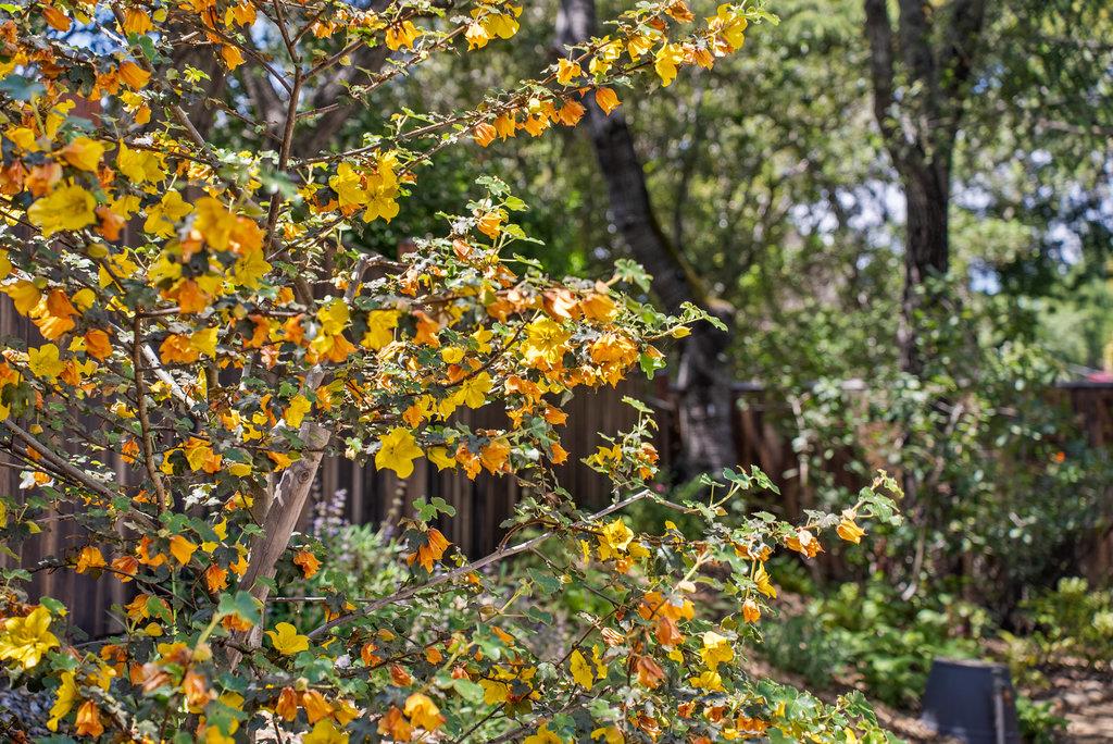 614 Graham Hill Road