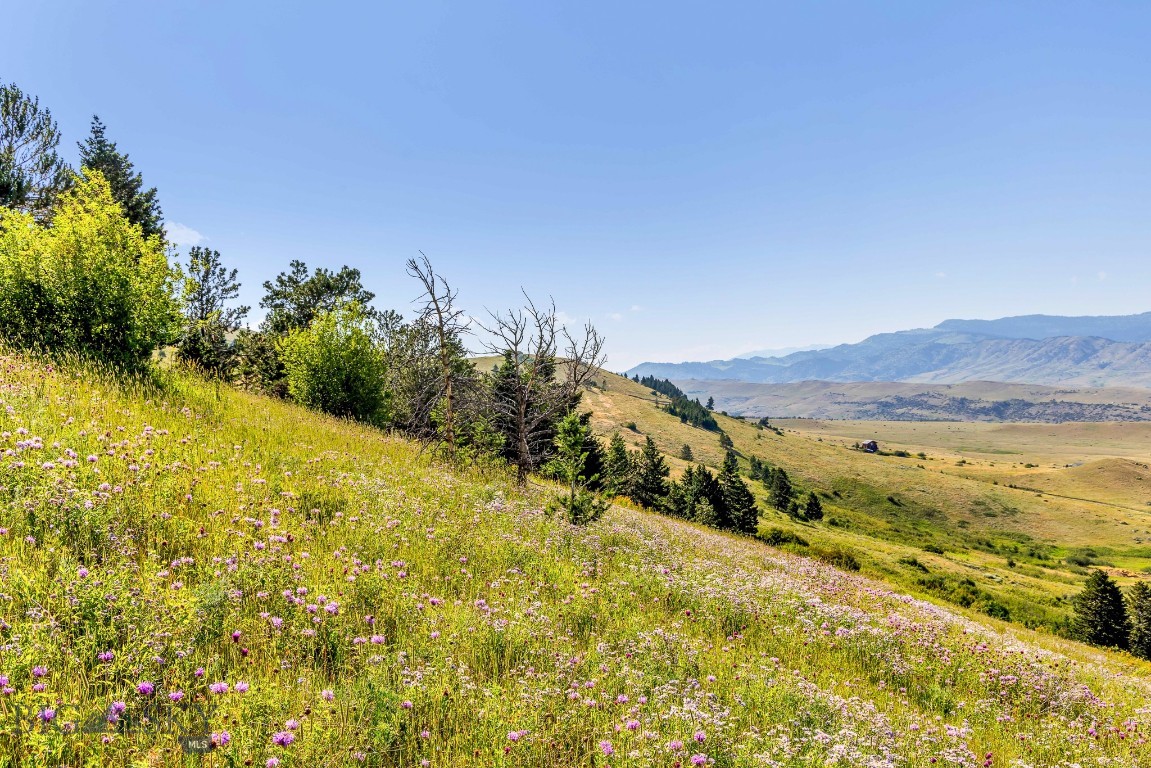 TBD Box Canyon Road