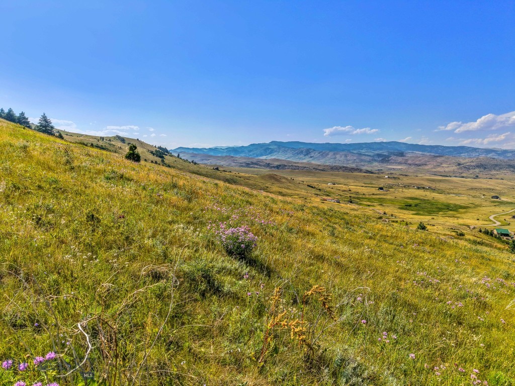 TBD Box Canyon Road