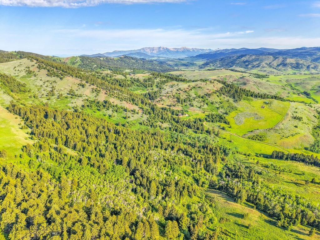 NHN Moose Meadows Road