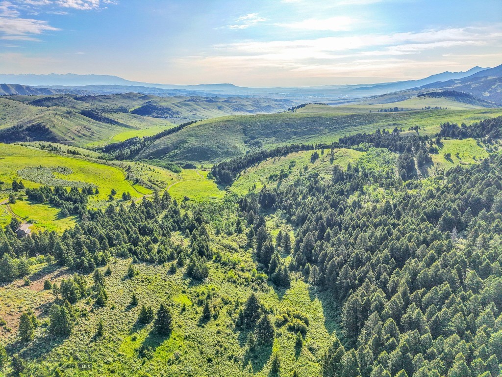 NHN Moose Meadows Road