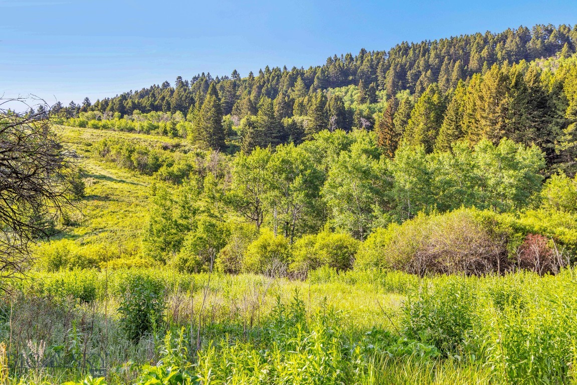 NHN Moose Meadows Road