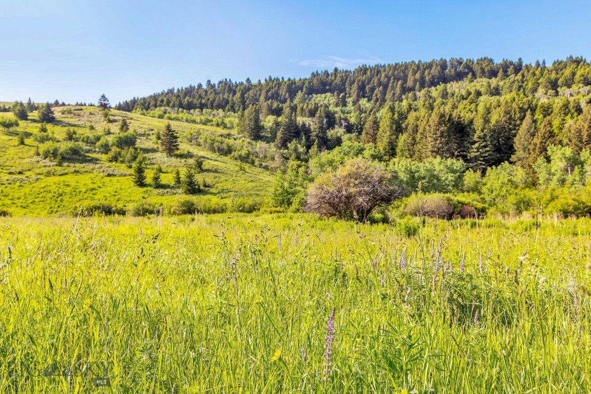 NHN Moose Meadows Road