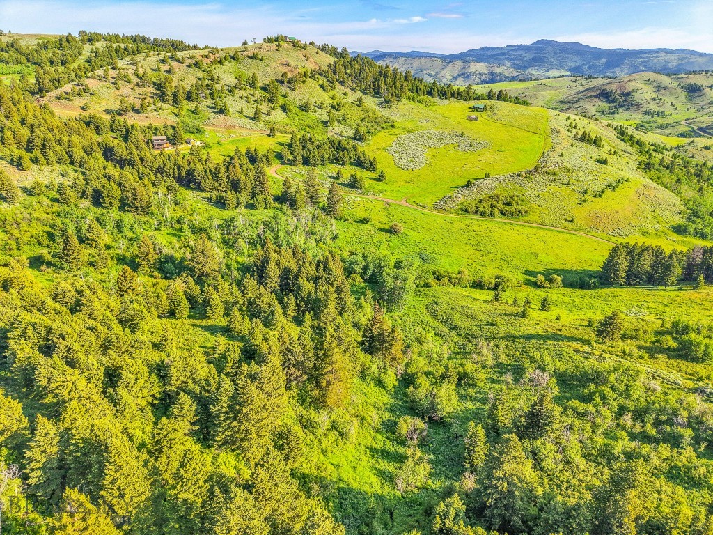 NHN Moose Meadows Road