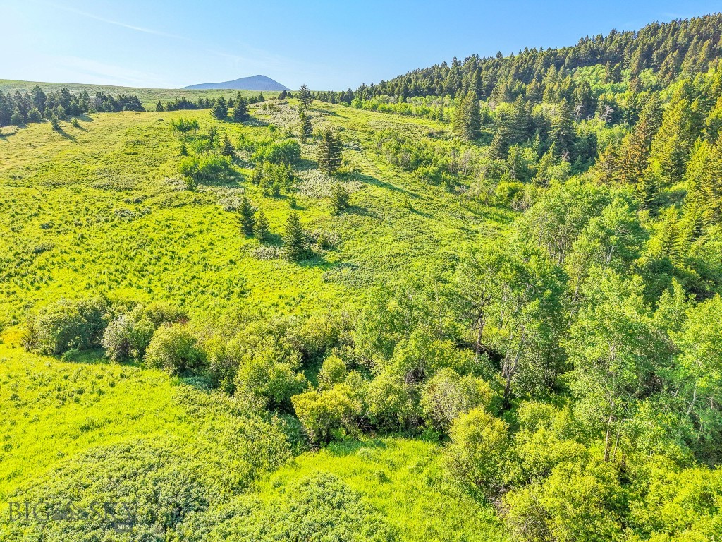 NHN Moose Meadows Road