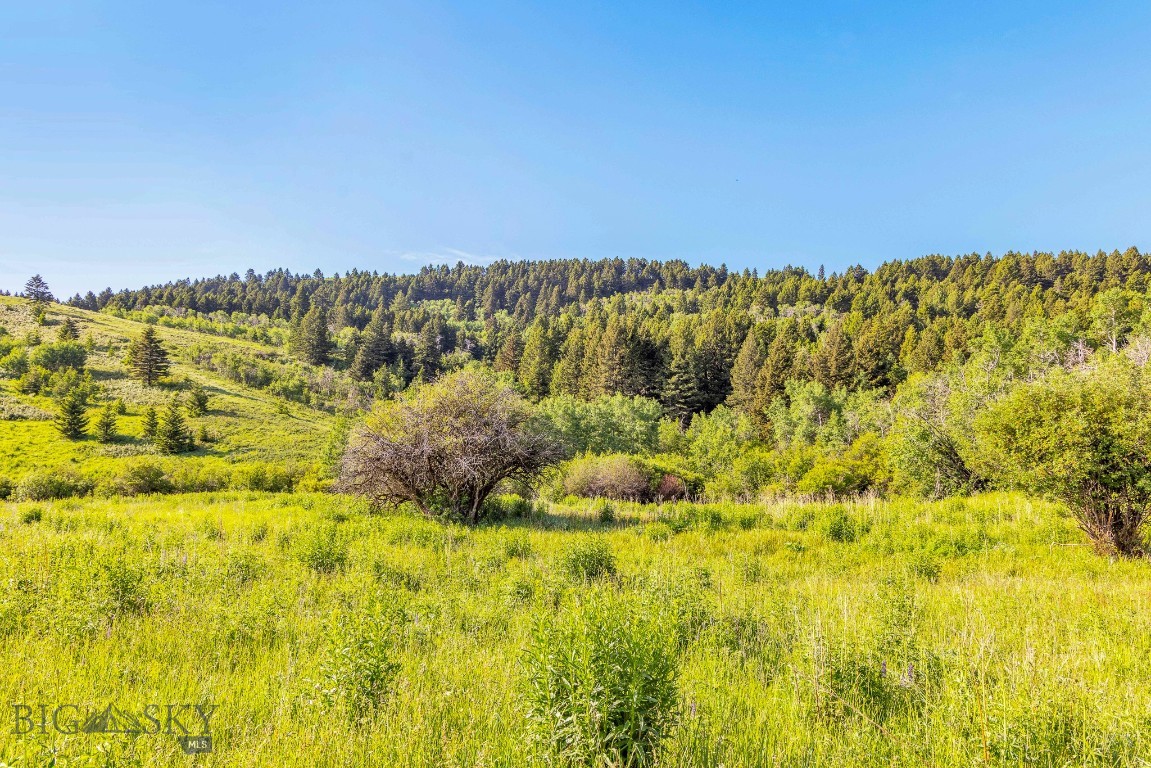 NHN Moose Meadows Road