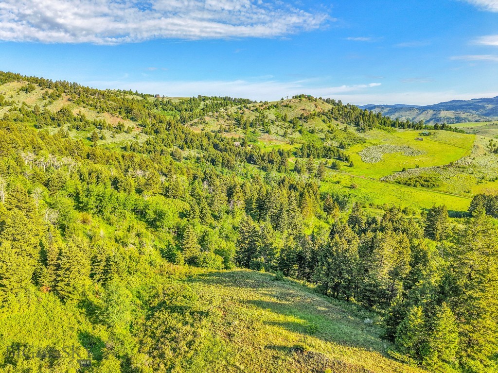 NHN Moose Meadows Road