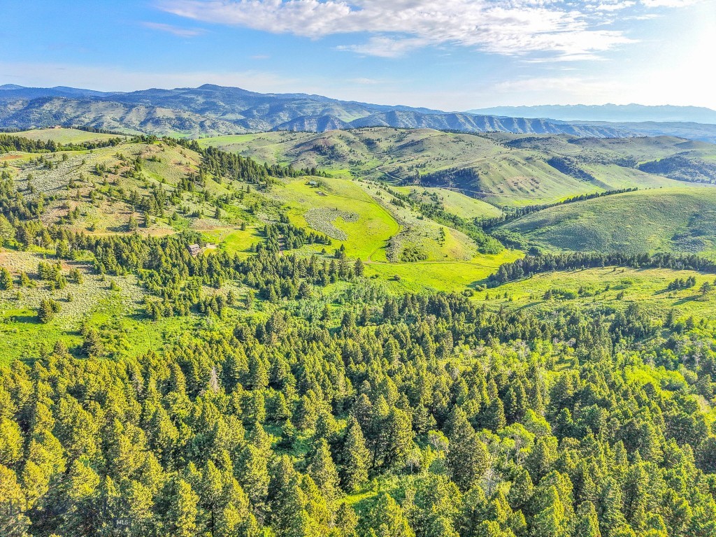 NHN Moose Meadows Road