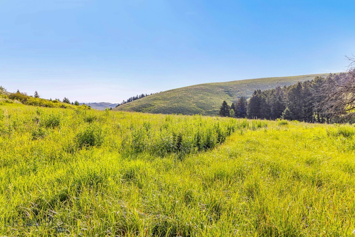 NHN Moose Meadows Road