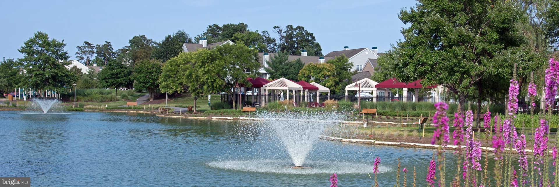 701 ORCHARD OVERLOOK 203