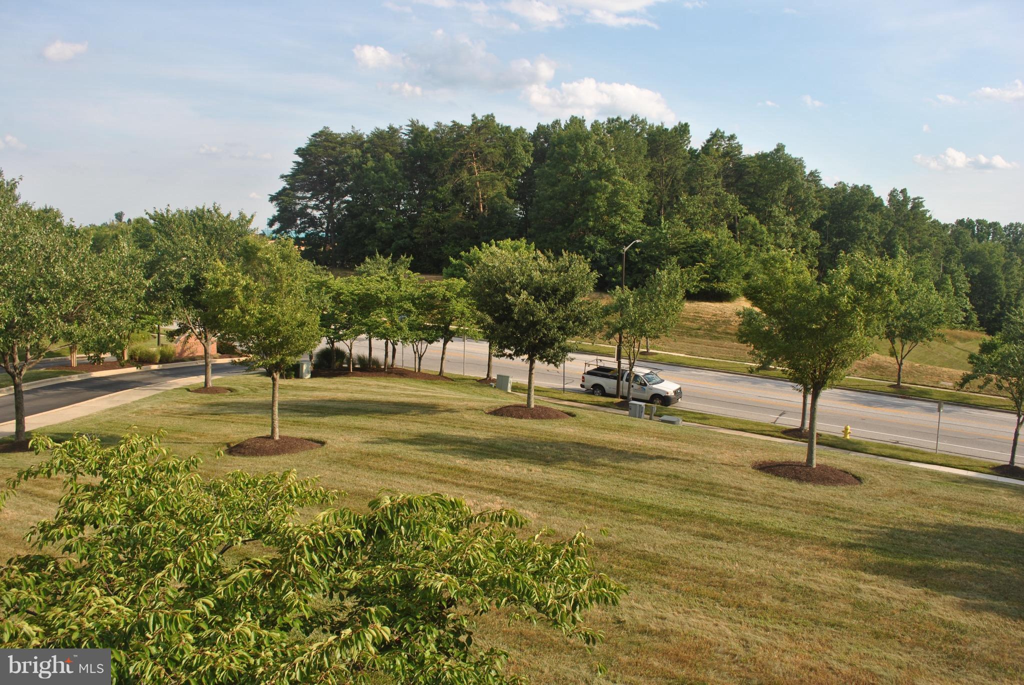 701 ORCHARD OVERLOOK 203