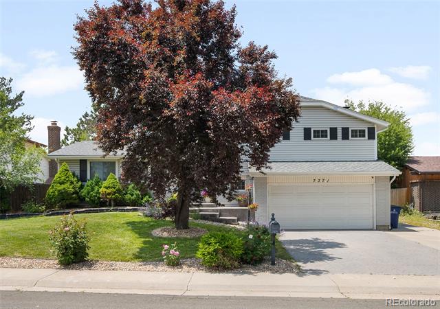 7371 Otis Court
