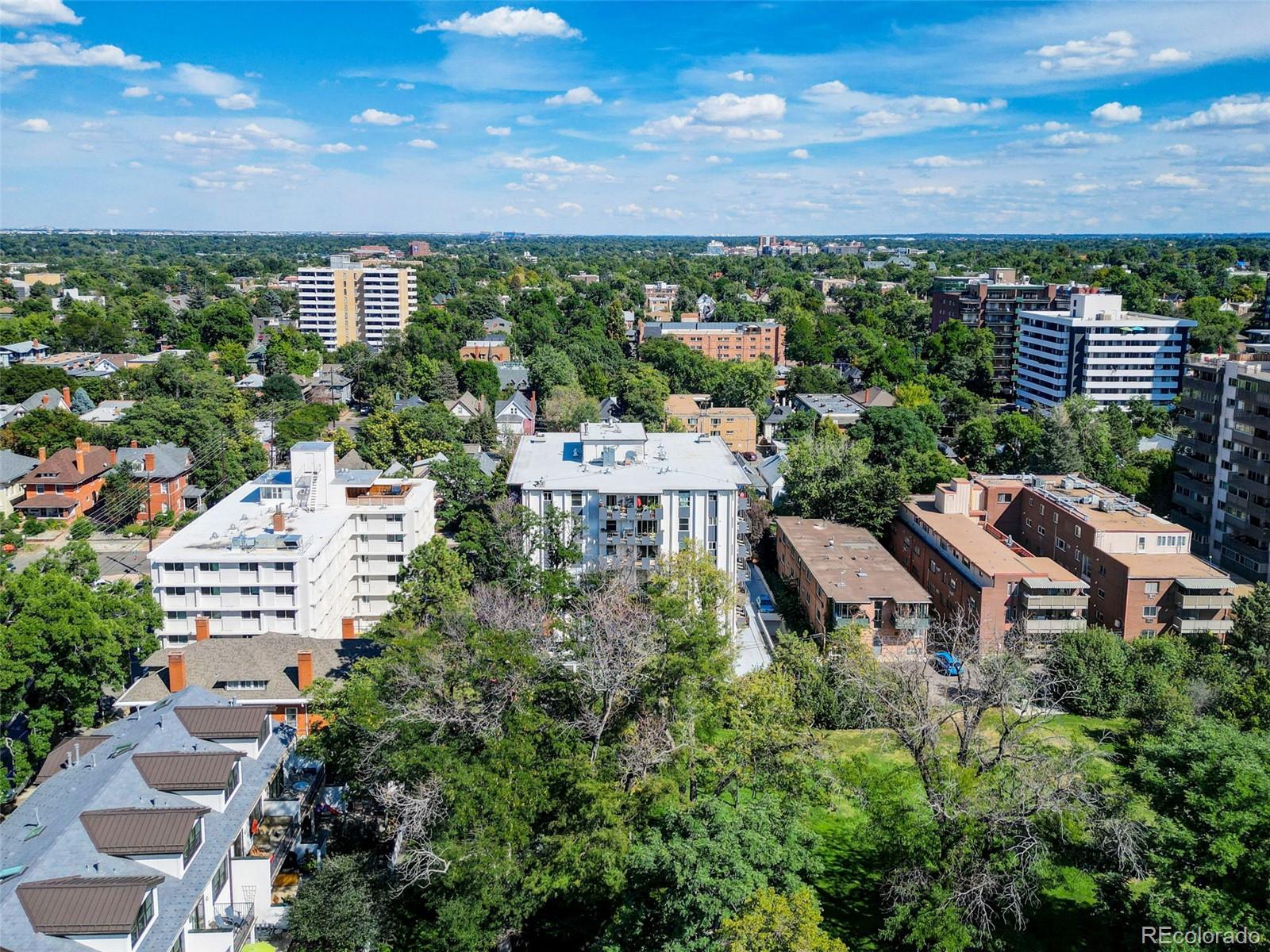 1265 Race Street Unit: 208