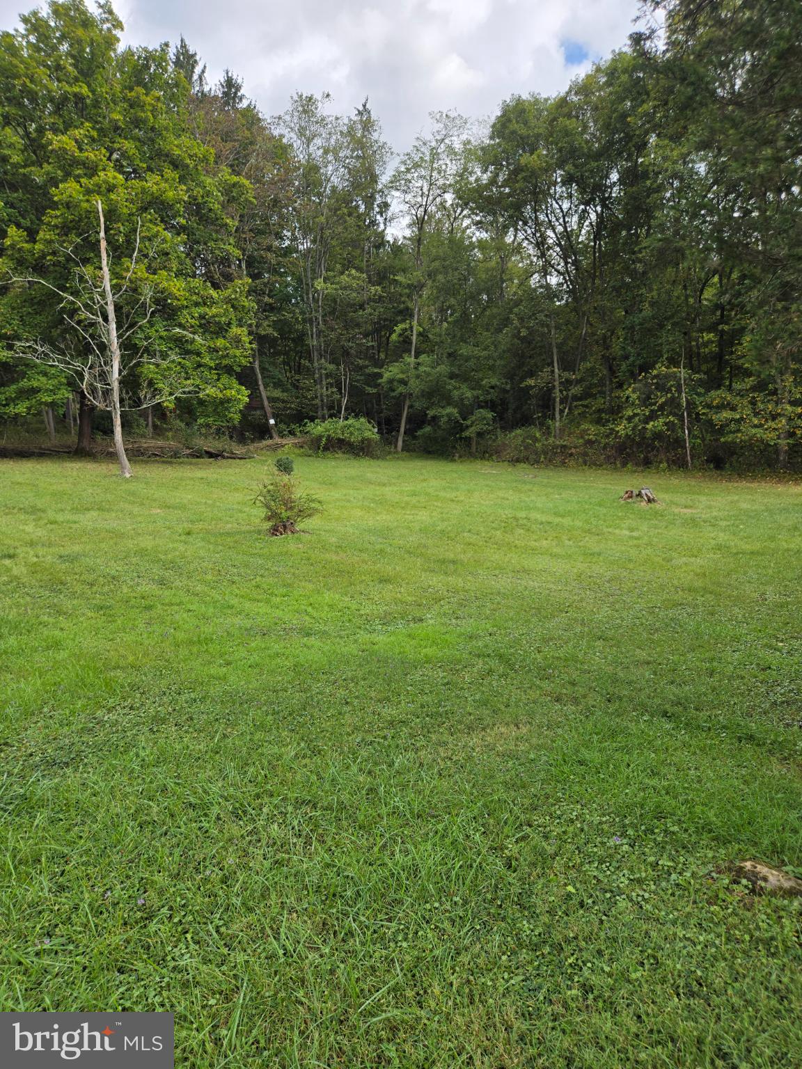 14801 MOUNT SAVAGE ROAD NW