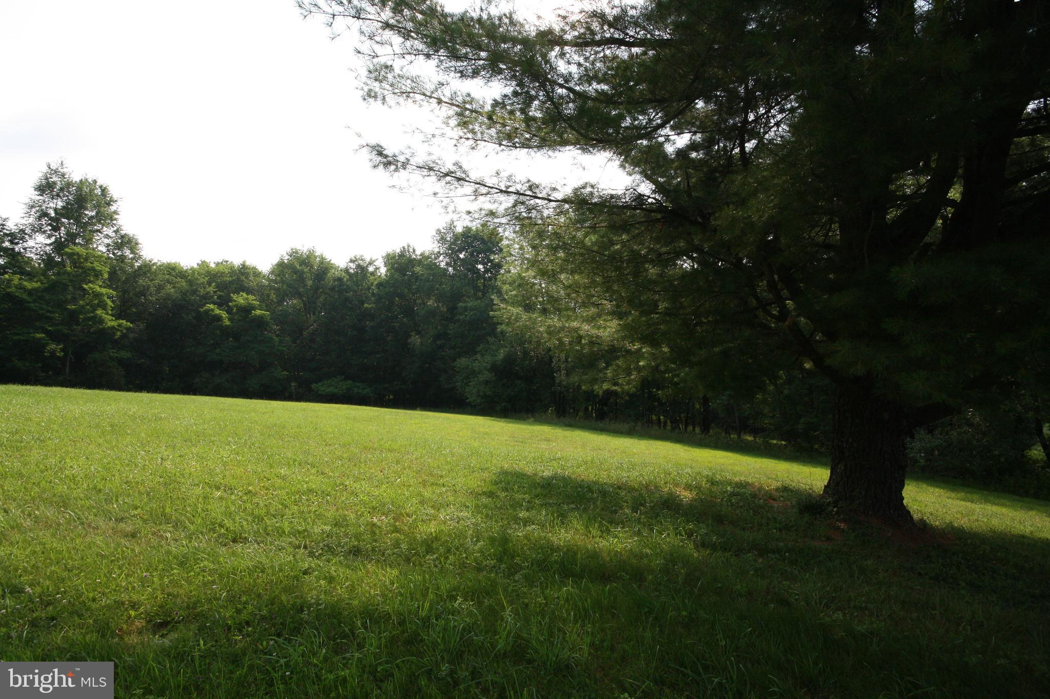12 Laurel Ct