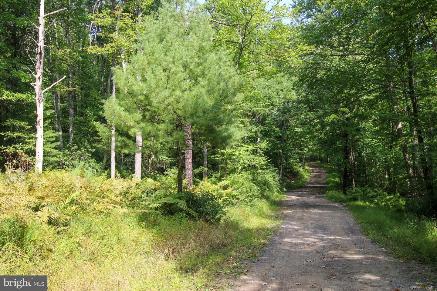 20 Stool Rock Rd