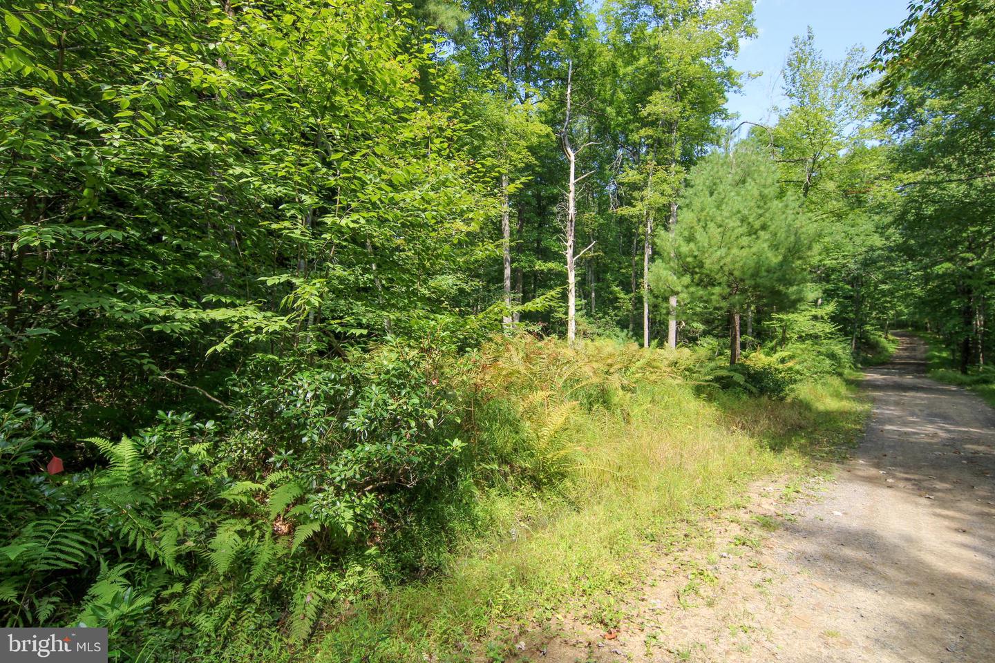 20 Stool Rock Rd
