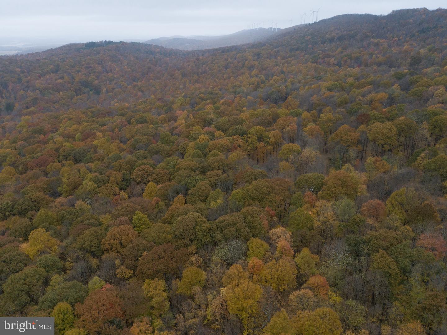 Lot 8 Timber Falls Rd