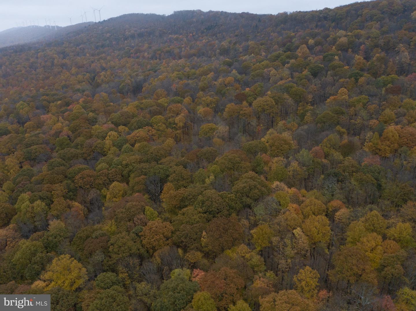 Lot 8 Timber Falls Rd