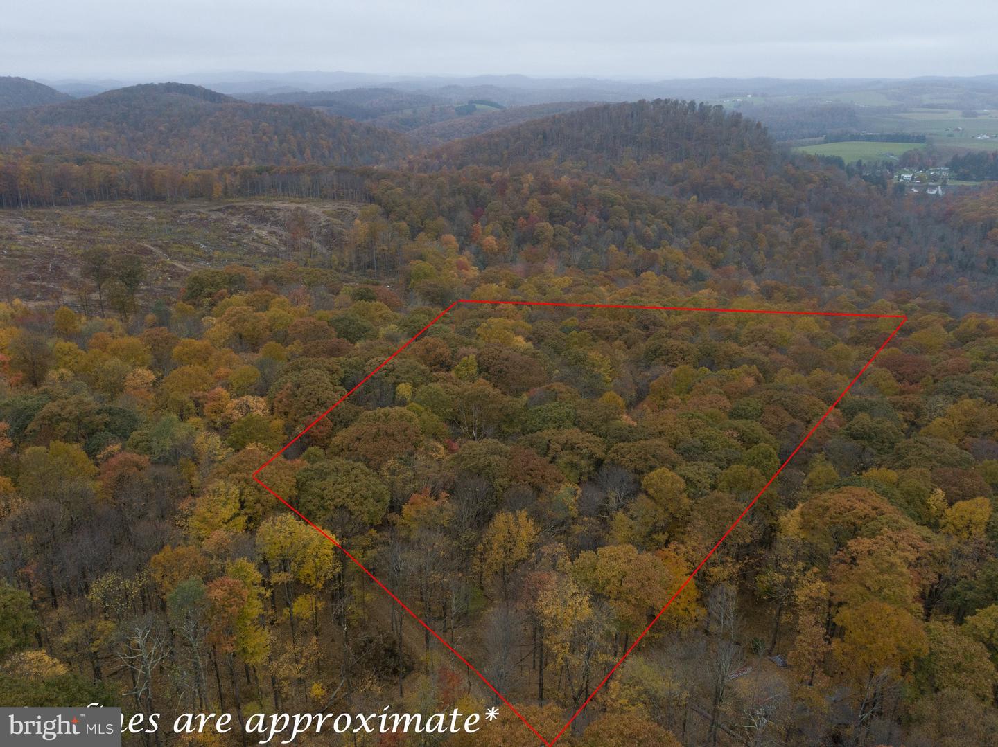 Lot 8 Timber Falls Rd