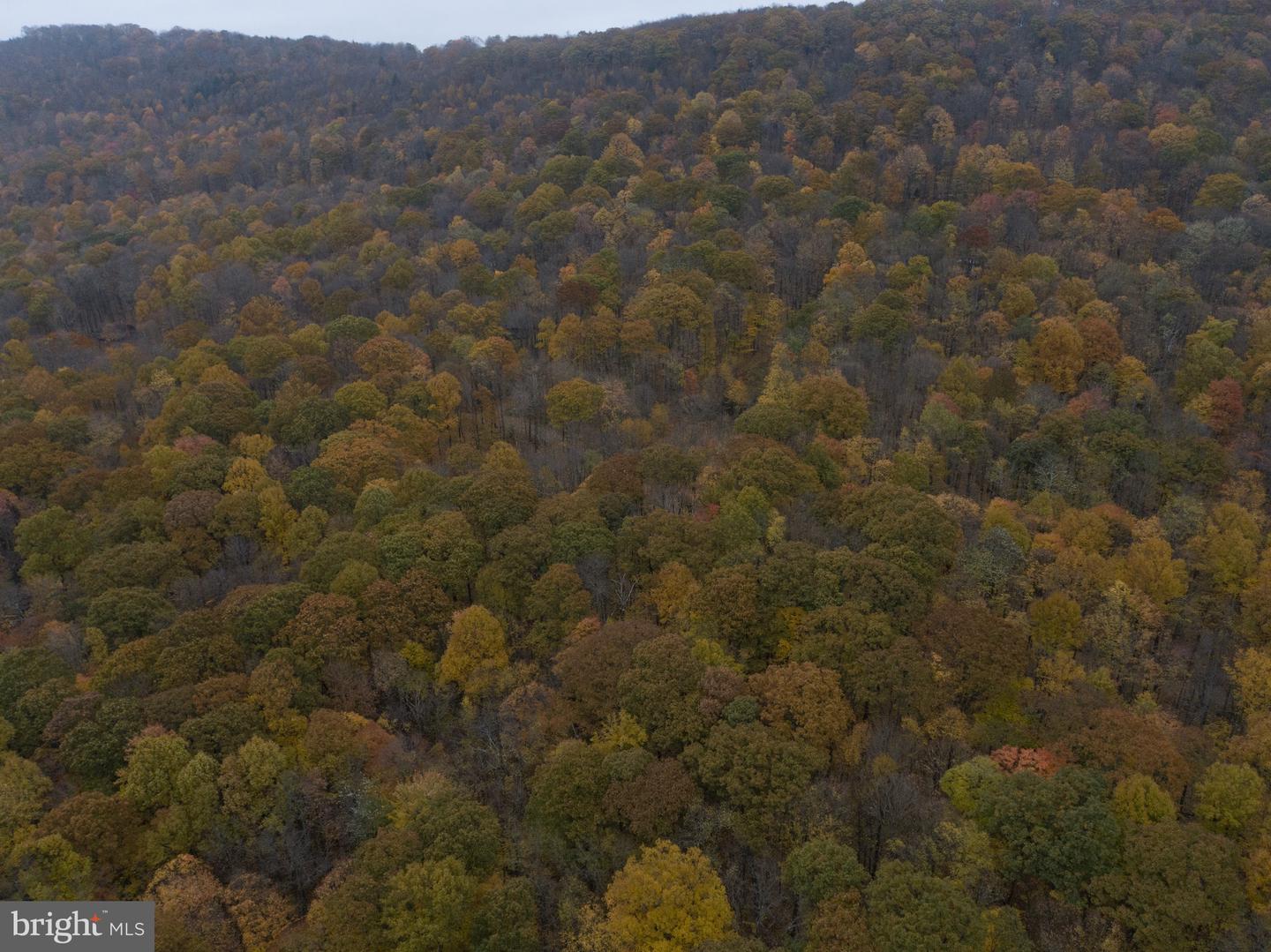 Lot 8 Timber Falls Rd