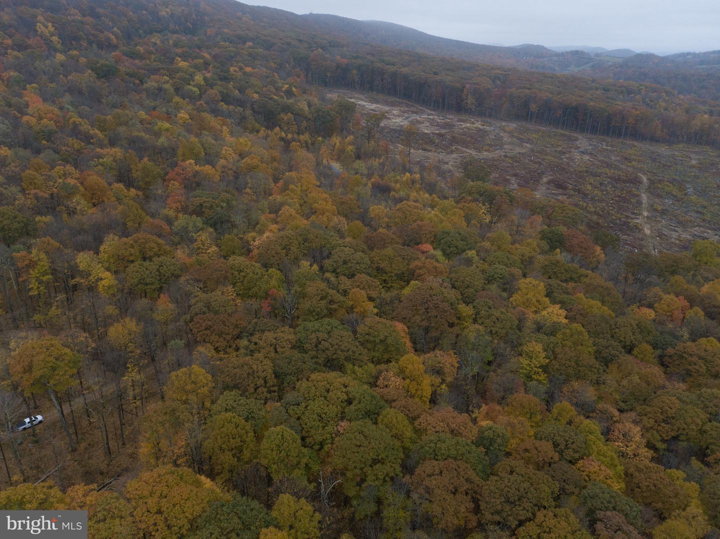 Lot 8 Timber Falls Rd