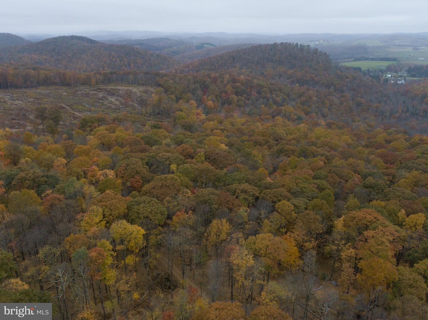 Lot 8 Timber Falls Rd