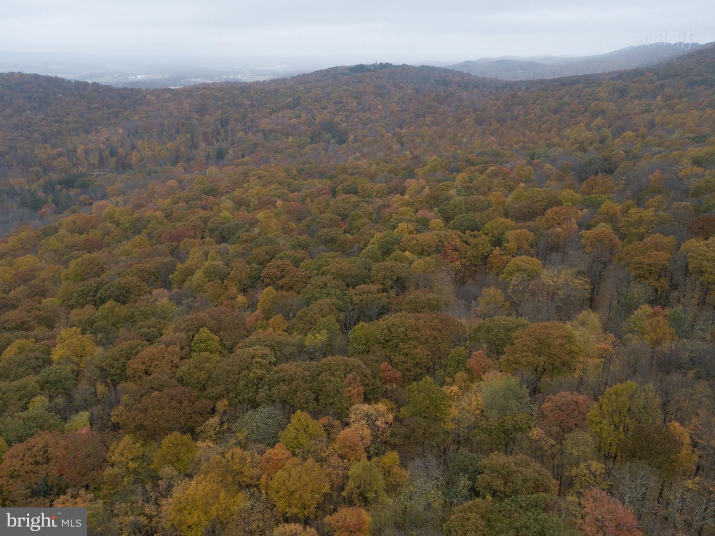 Lot 8 Timber Falls Rd