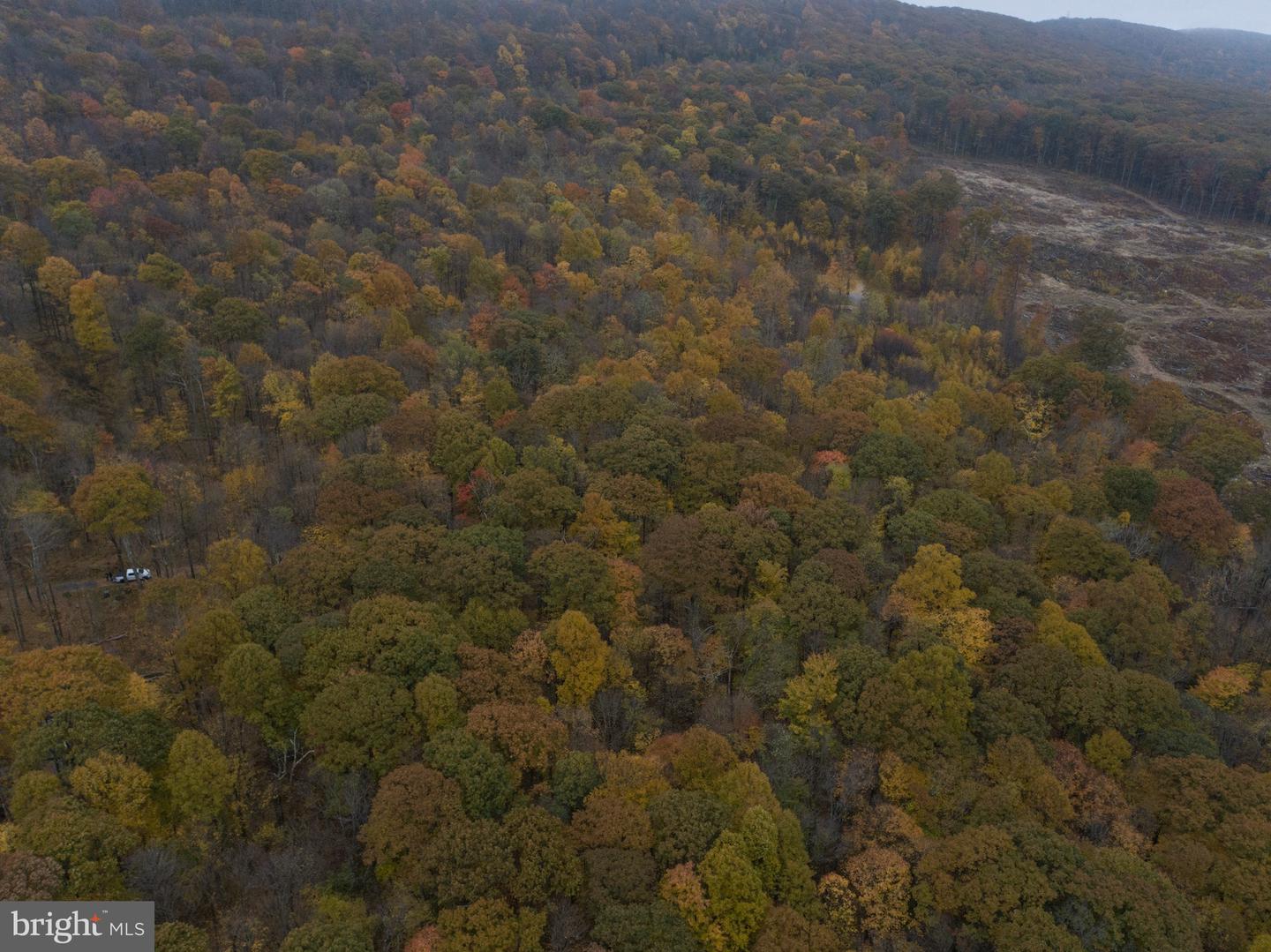 Lot 8 Timber Falls Rd
