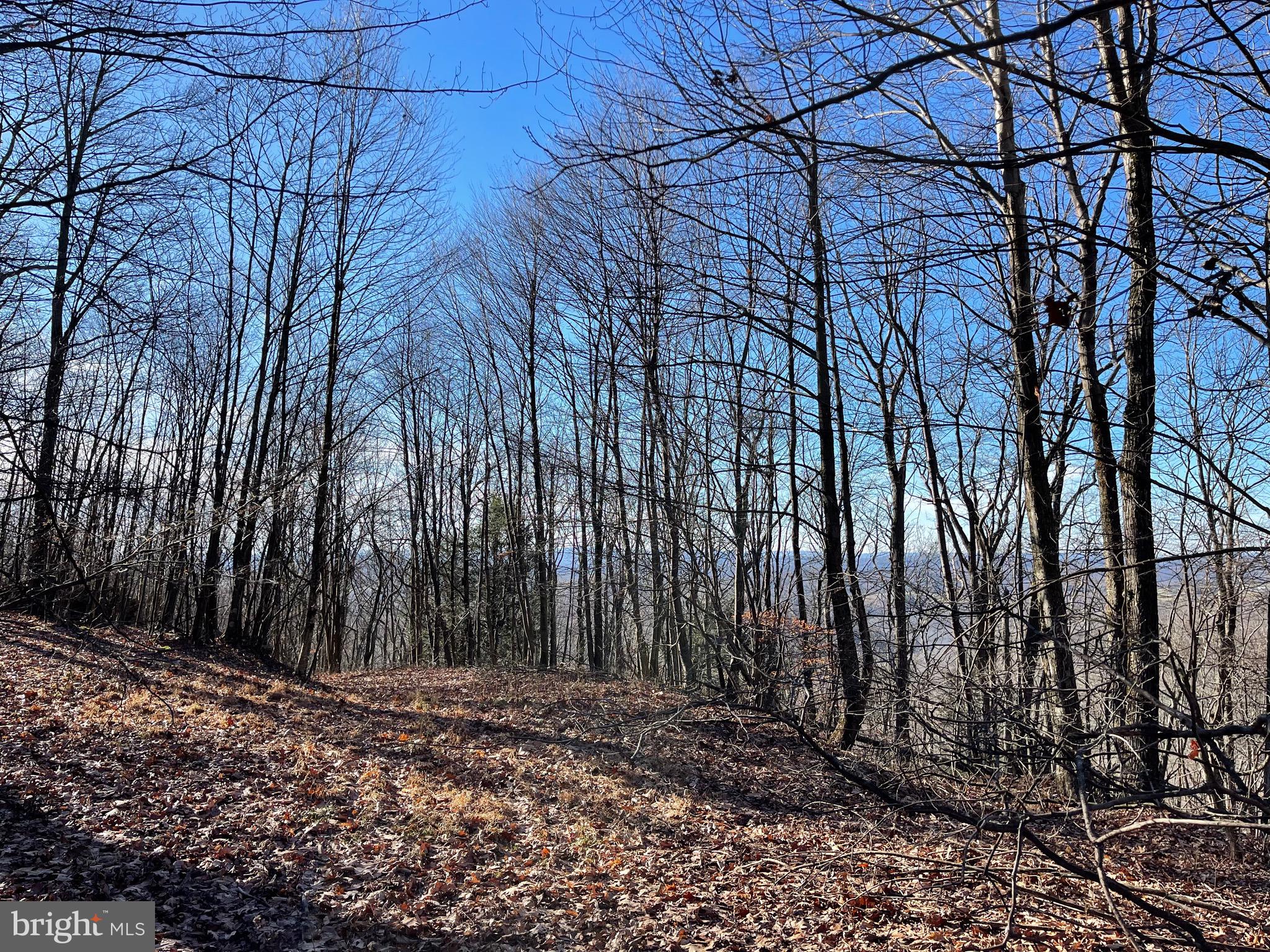 Lot 6 Hoye Crest Rd